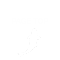 PAGE TOP